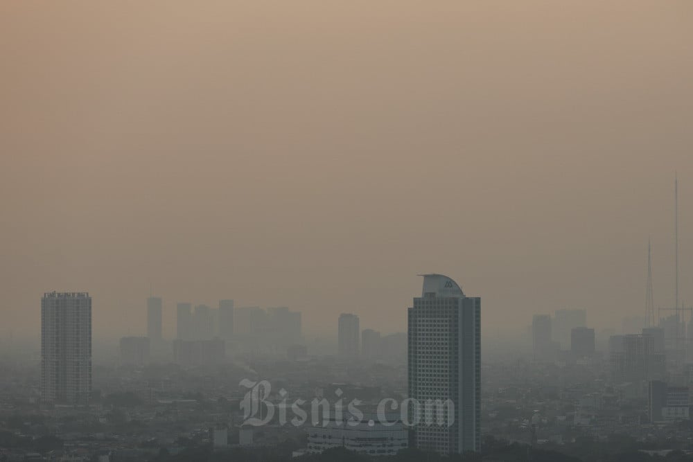 Polusi Udara Kian Parah, Ini Tips Membersihkan Paru-Paru Alami